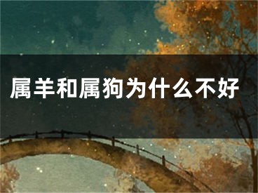 属羊和属狗为什么不好