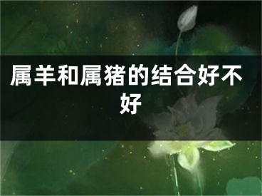 属羊和属猪的结合好不好