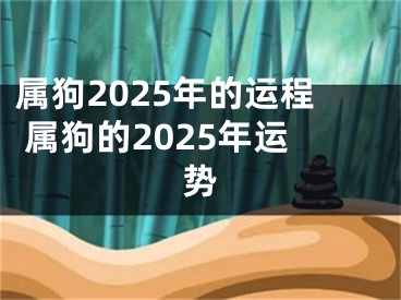 属狗2025年的运程 属狗的2025年运势