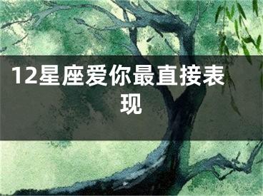 12星座爱你最直接表现