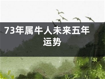 73年属牛人未来五年运势