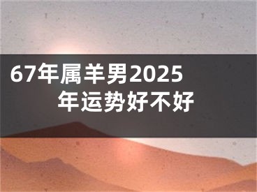 67年属羊男2025年运势好不好