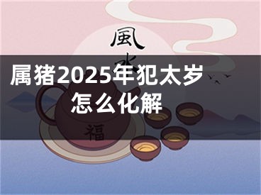 属猪2025年犯太岁怎么化解 