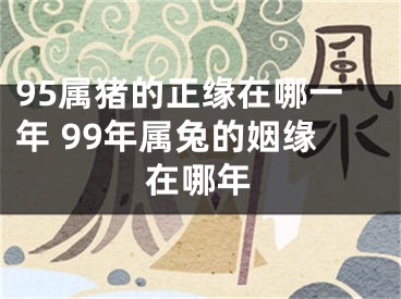 95属猪的正缘在哪一年 99年属兔的姻缘在哪年