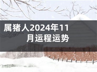 属猪人2024年11月运程运势