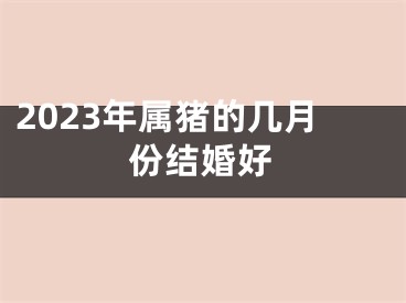 2023年属猪的几月份结婚好