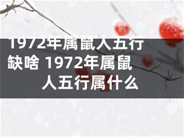 1972年属鼠人五行缺啥 1972年属鼠人五行属什么