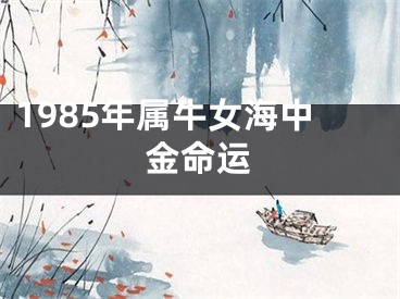1985年属牛女海中金命运