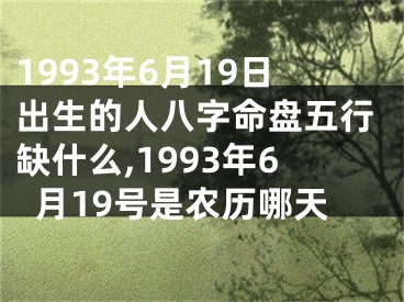 1993年6月19日出生的人八字命盘五行缺什么,1993年6月19号是农历哪天