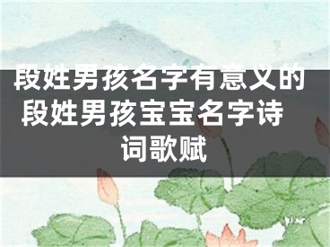 段姓男孩名字有意义的 段姓男孩宝宝名字诗词歌赋
