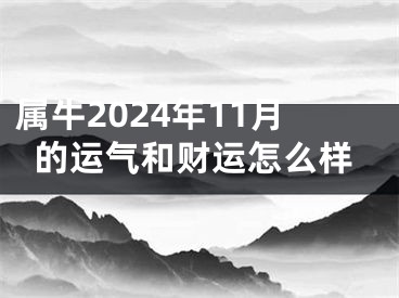 属牛2024年11月的运气和财运怎么样