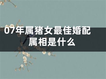 07年属猪女最佳婚配属相是什么