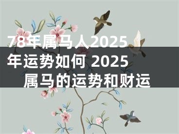 78年属马人2025年运势如何 2025属马的运势和财运