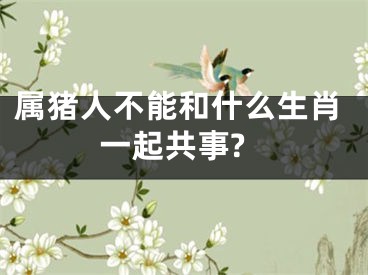 属猪人不能和什么生肖一起共事?