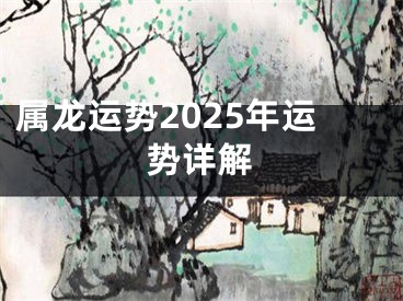 属龙运势2025年运势详解