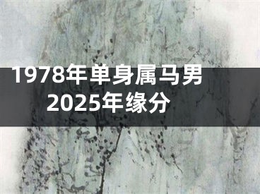 1978年单身属马男2025年缘分
