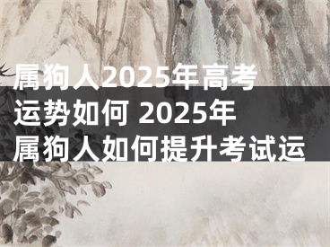属狗人2025年高考运势如何 2025年属狗人如何提升考试运