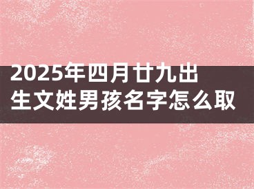 2025年四月廿九出生文姓男孩名字怎么取