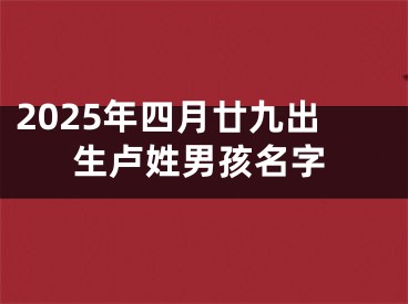 2025年四月廿九出生卢姓男孩名字
