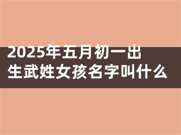 2025年五月初一出生武姓女孩名字叫什么