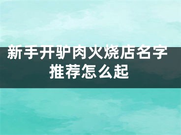 新手开驴肉火烧店名字推荐怎么起