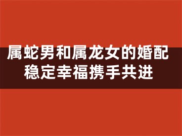 属蛇男和属龙女的婚配稳定幸福携手共进