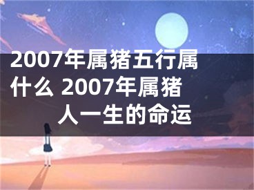 2007年属猪五行属什么 2007年属猪人一生的命运