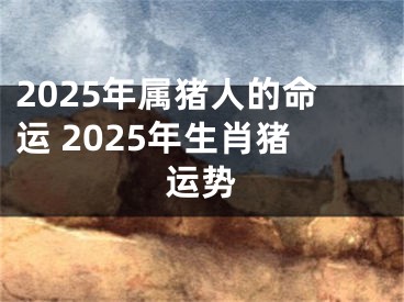 2025年属猪人的命运 2025年生肖猪运势