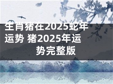 生肖猪在2025蛇年运势 猪2025年运势完整版