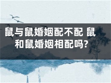 鼠与鼠婚姻配不配 鼠和鼠婚姻相配吗?