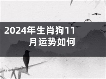 2024年生肖狗11月运势如何