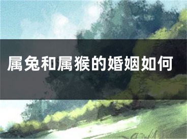 属兔和属猴的婚姻如何