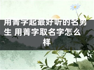 用菁字起最好听的名男生 用菁字取名字怎么样