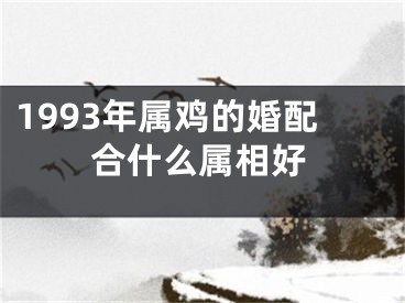 1993年属鸡的婚配合什么属相好