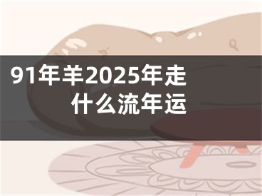 91年羊2025年走什么流年运