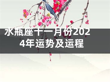 水瓶座十一月份2024年运势及运程