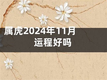属虎2024年11月运程好吗