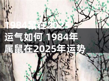 1984鼠在2025运气如何 1984年属鼠在2025年运势