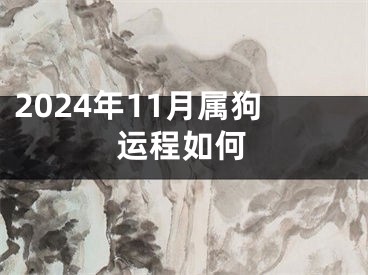 2024年11月属狗运程如何
