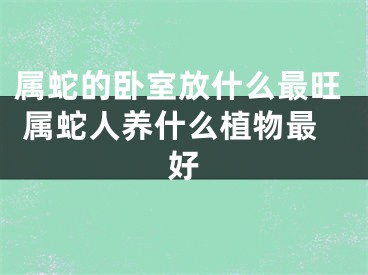 属蛇的卧室放什么最旺 属蛇人养什么植物最好