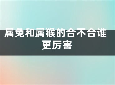 属兔和属猴的合不合谁更厉害