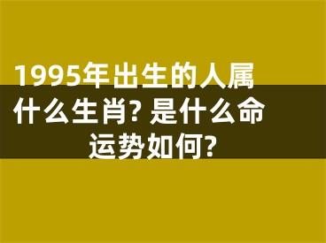 1995年出生的人属什么生肖? 是什么命运势如何?