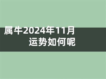 属牛2024年11月运势如何呢