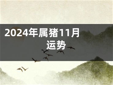 2024年属猪11月运势