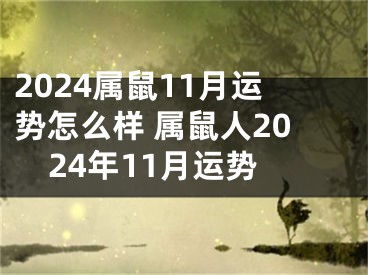 2024属鼠11月运势怎么样 属鼠人2024年11月运势