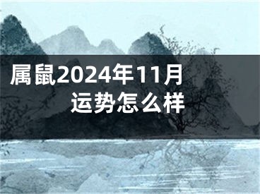 属鼠2024年11月运势怎么样