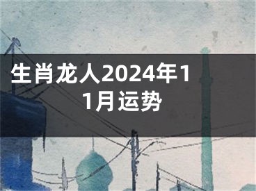 生肖龙人2024年11月运势