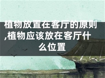 植物放置在客厅的原则,植物应该放在客厅什么位置