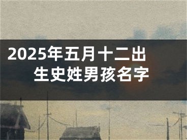 2025年五月十二出生史姓男孩名字