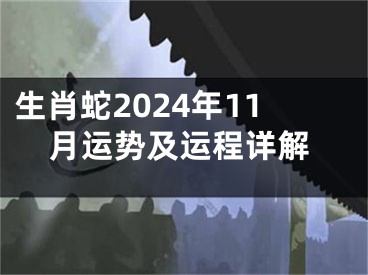 生肖蛇2024年11月运势及运程详解